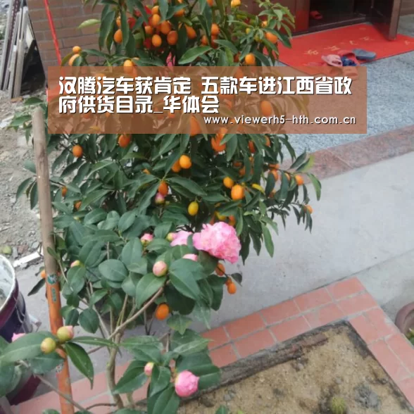 汉腾汽车获肯定 五款车进江西省政府供货目录_华体会(图2) 汉腾汽车获肯定 五款车进江西省政府供货目录_华体会(图2)