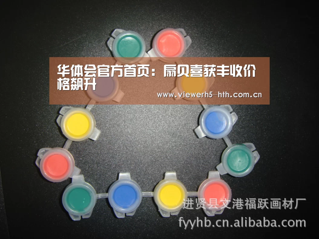 华体会