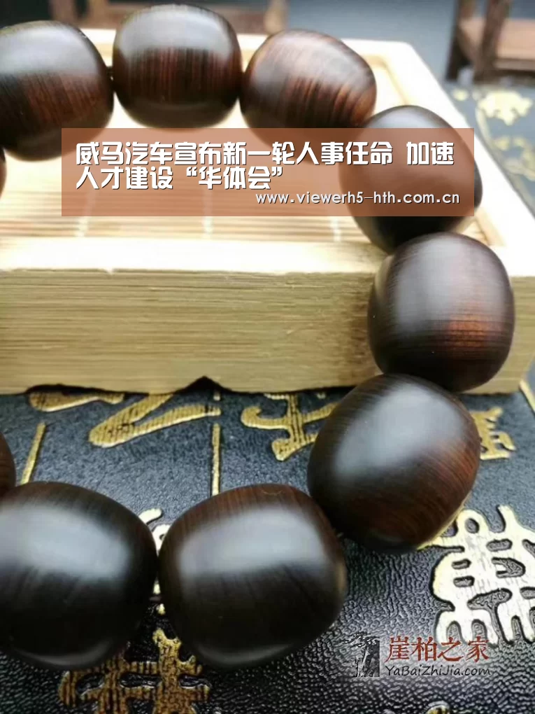 威马汽车宣布新一轮人事任命 加速人才建设“华体会”(图1) 华体会官方首页