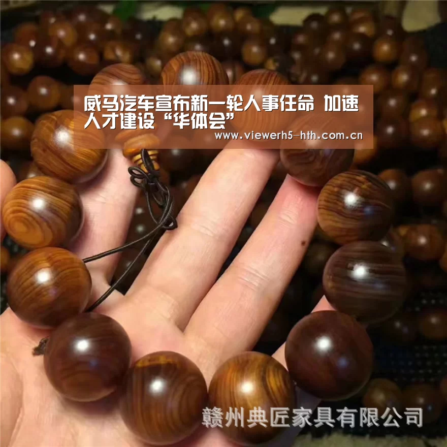 威马汽车宣布新一轮人事任命 加速人才建设“华体会”(图3) 华体会官方首页