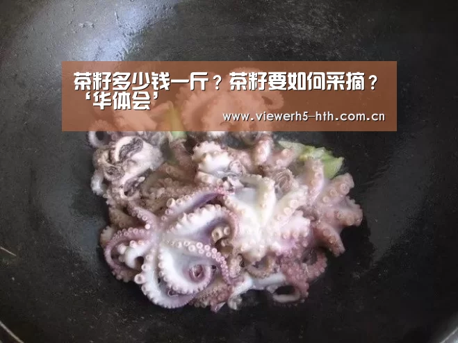华体会