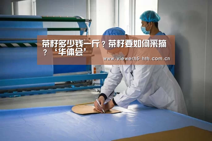华体会官方首页