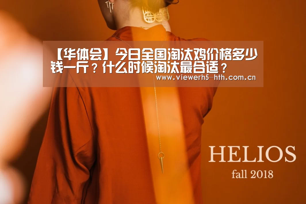 【华体会】今日全国淘汰鸡价格多少钱一斤?什么时候淘汰最合适?(图1) 华体会